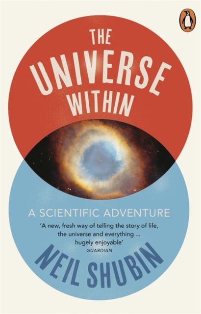 The Universe Within : A Scientific Adventure, Paperback / softback Book