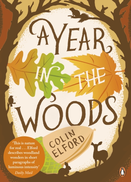 A Year in the Woods : The Diary of a Forest Ranger, Paperback / softback Book