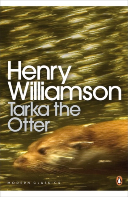 Tarka the Otter, Paperback / softback Book