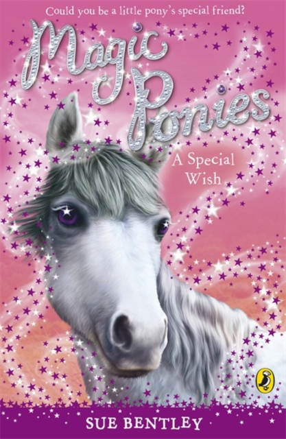 Magic Ponies: A Special Wish, Paperback / softback Book