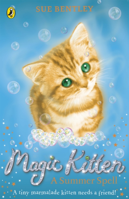 Magic Kitten: A Summer Spell, EPUB eBook