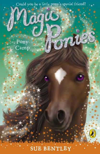 Magic Ponies: Pony Camp, EPUB eBook