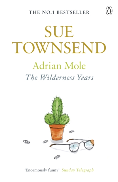 Adrian Mole: The Wilderness Years, EPUB eBook