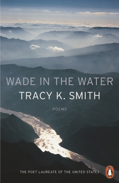 Wade in the Water, EPUB eBook