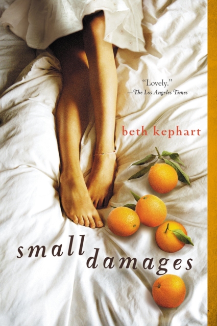 Small Damages, Paperback / softback Book