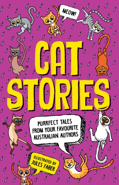Cat Stories, EPUB eBook