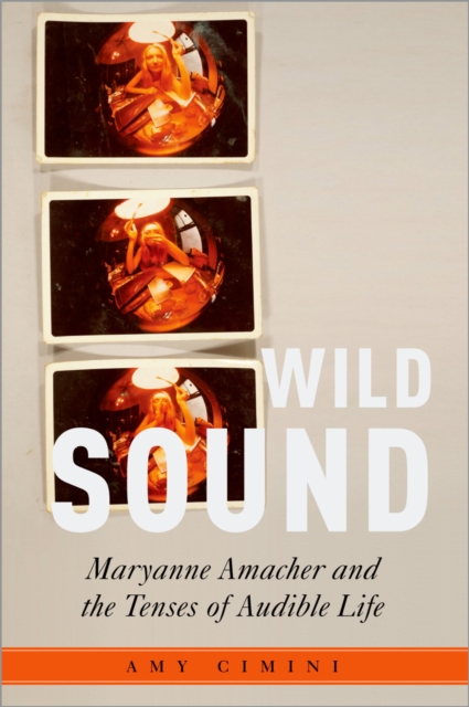 Wild Sound : Maryanne Amacher and the Tenses of Audible Life, PDF eBook