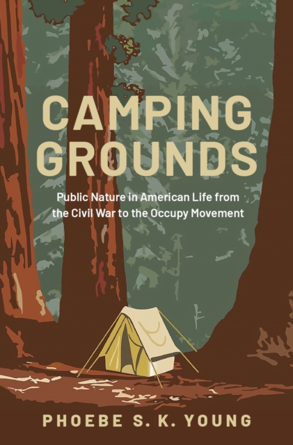 Camping Grounds : Public Nature in American Life from the Civil War to the Occupy Movement, EPUB eBook