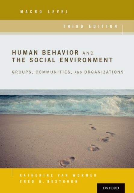 Human Behavior and the Social Environment, Macro Level : Groups, Communities, and Organizations, Paperback / softback Book