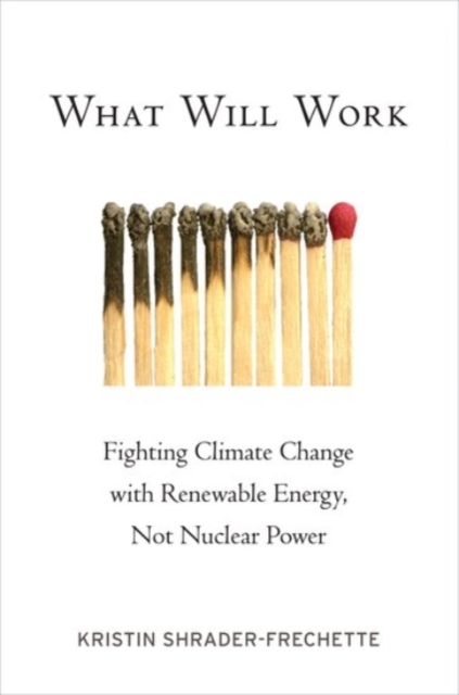 What Will Work : Fighting Climate Change with Renewable Energy, Not Nuclear Power, Paperback / softback Book