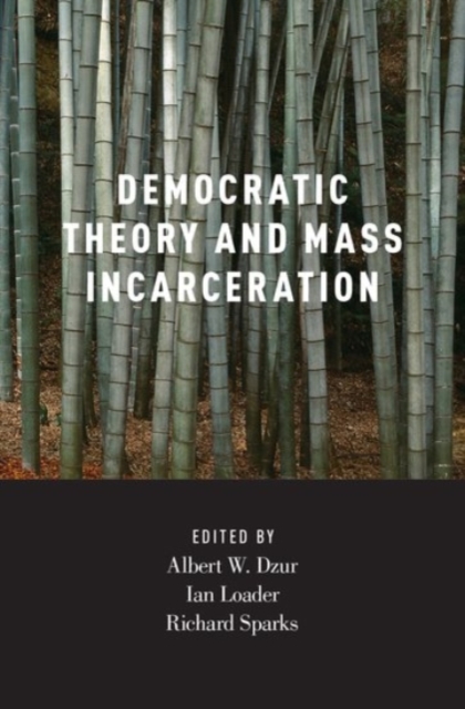 Democratic Theory and Mass Incarceration, Hardback Book