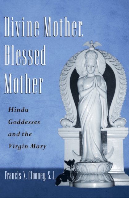 Divine Mother, Blessed Mother : Hindu Goddesses and the Virgin Mary, EPUB eBook