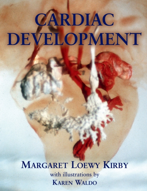 Cardiac Development, EPUB eBook