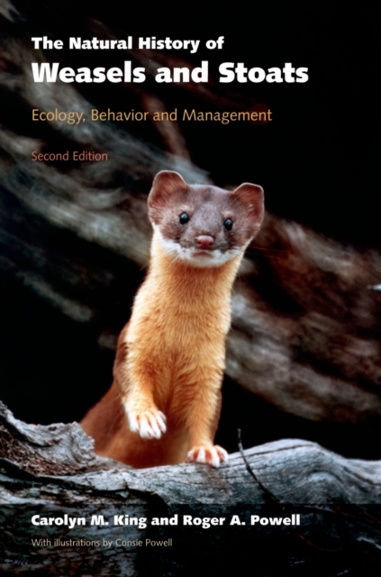 The Natural History of Weasels and Stoats : Ecology, Behavior, and Management, EPUB eBook