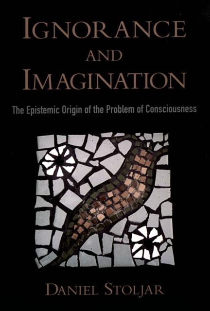 Ignorance and Imagination : The Epistemic Origin of the Problem of Consciousness, EPUB eBook