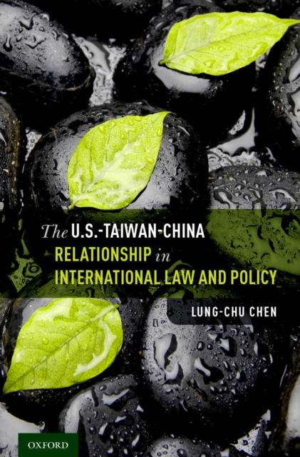 The U.S.-Taiwan-China Relationship in International Law and Policy, PDF eBook