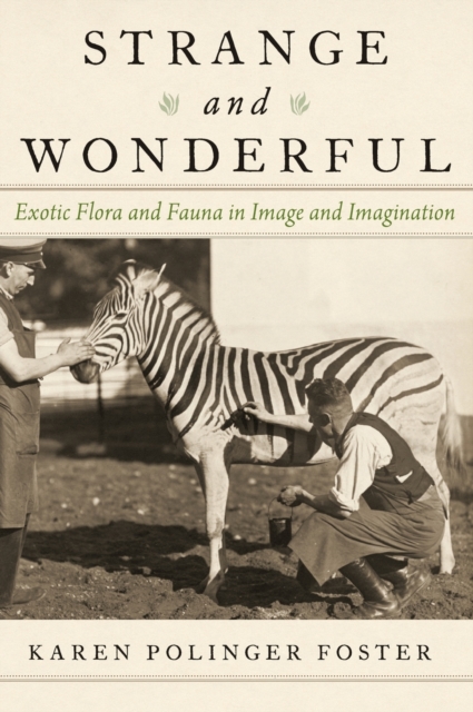 Strange and Wonderful : Exotic Flora and Fauna in Image and Imagination, Hardback Book