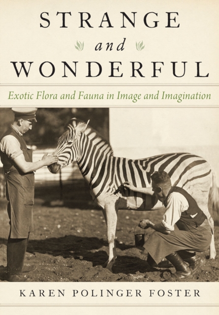 Strange and Wonderful : Exotic Flora and Fauna in Image and Imagination, PDF eBook