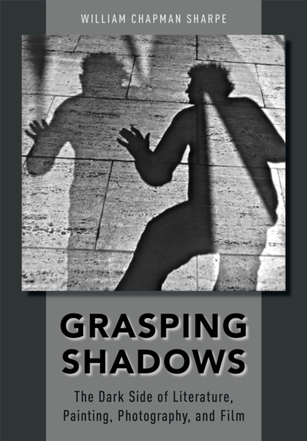 Grasping Shadows : The Dark Side of Literature, Painting, Photography, and Film, EPUB eBook