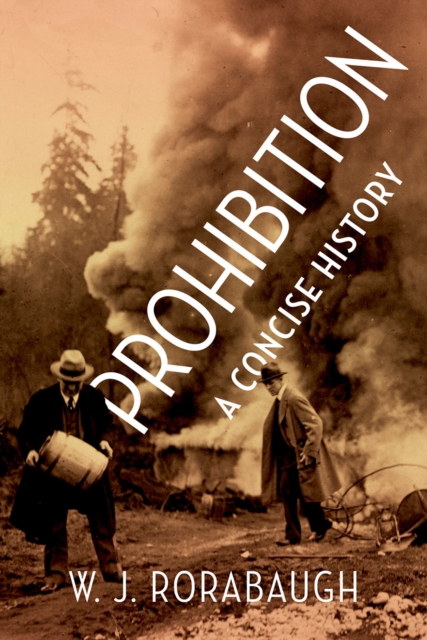 Prohibition : A Concise History, PDF eBook