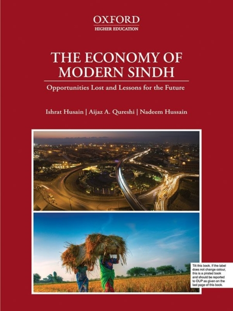 The Economy of Modern Sindh : Opportunities Lost and Lessons for the Future, Paperback / softback Book
