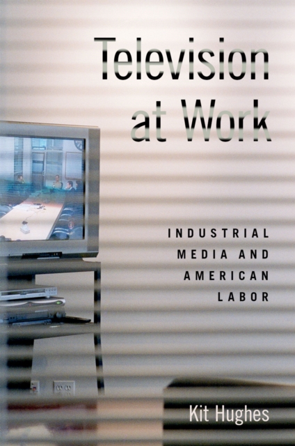 Television at Work : Industrial Media and American Labor, PDF eBook