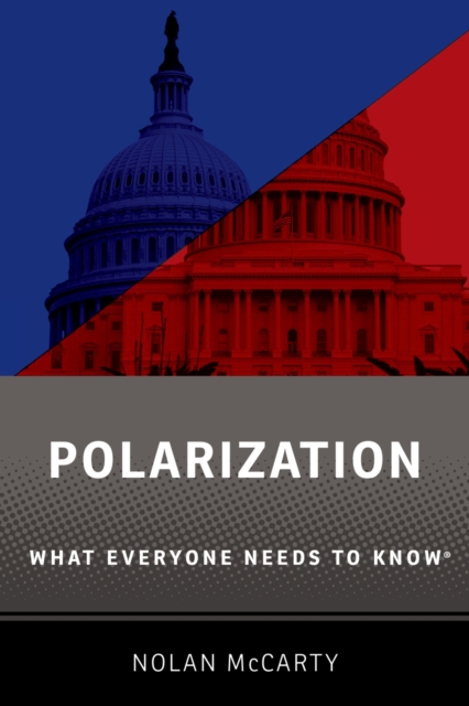 Polarization : What Everyone Needs to Know?, PDF eBook