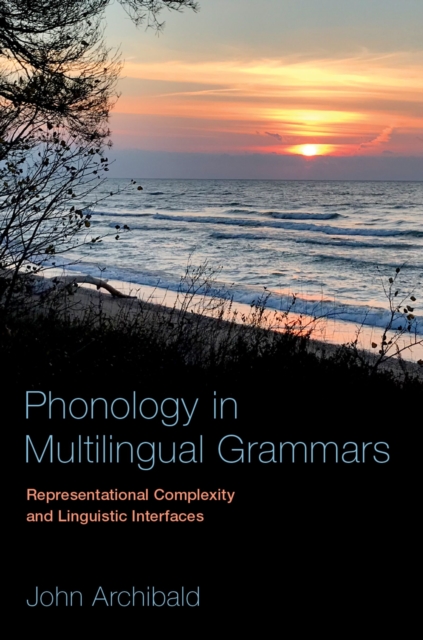 Phonology in Multilingual Grammars : Representational Complexity and Linguistic Interfaces, PDF eBook
