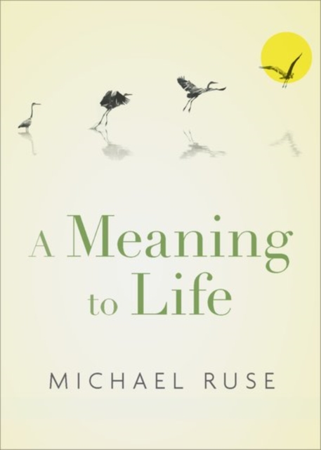 A Meaning to Life, Hardback Book