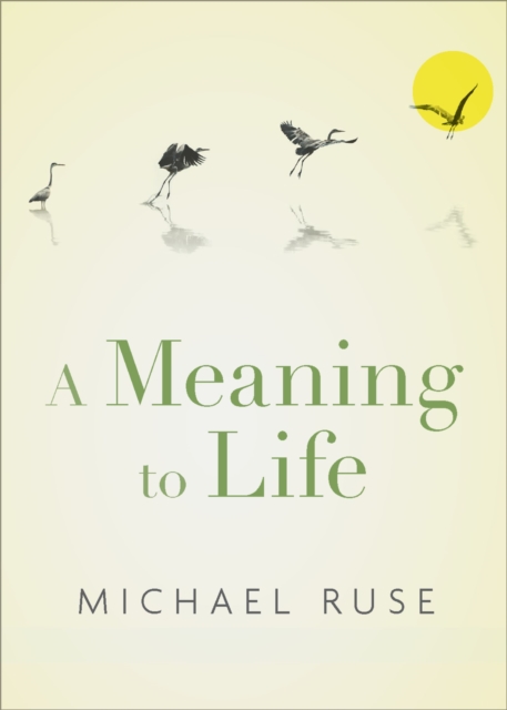 A Meaning to Life, PDF eBook