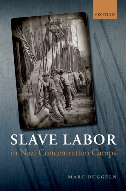 Slave Labor in Nazi Concentration Camps, PDF eBook