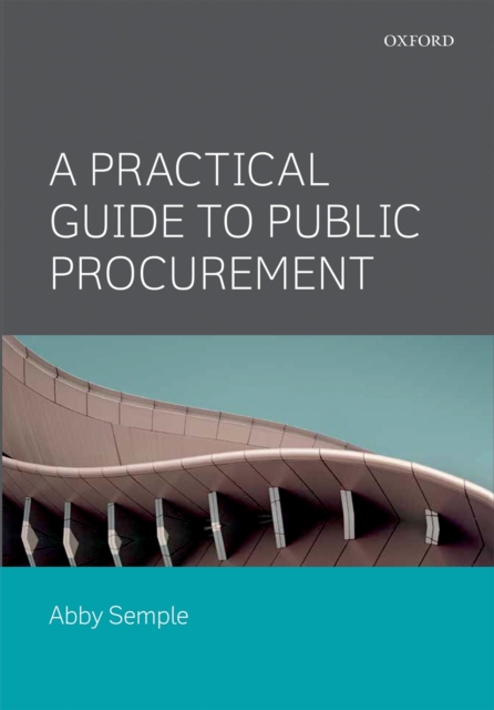 A Practical Guide to Public Procurement, PDF eBook