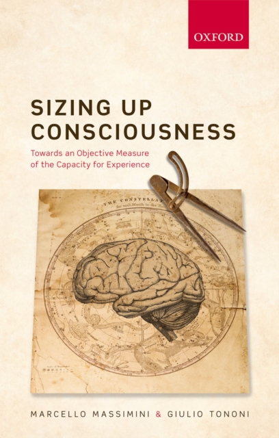 Sizing up Consciousness : Towards an objective measure of the capacity for experience, EPUB eBook