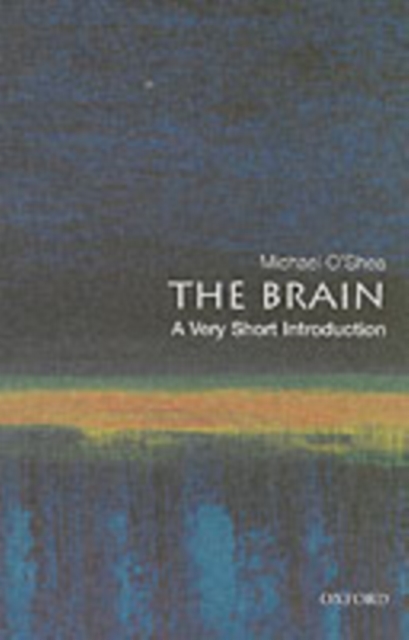 The Brain: A Very Short Introduction, PDF eBook