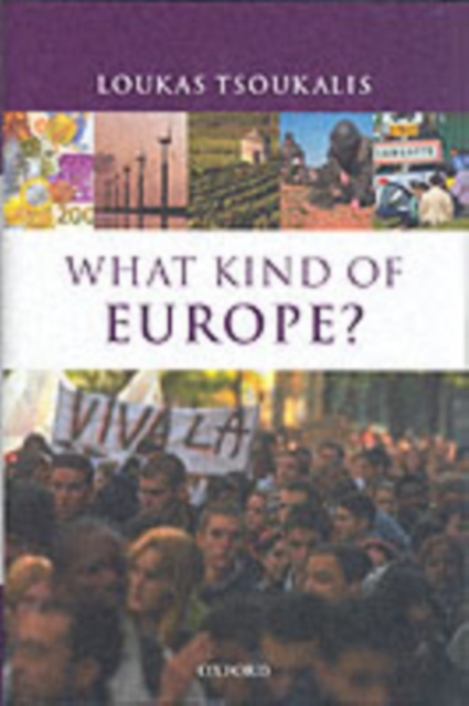 What Kind of Europe?, PDF eBook