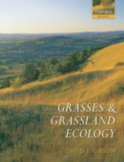 Grasses and Grassland Ecology, PDF eBook