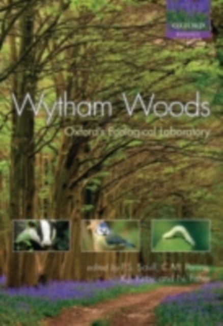 Wytham Woods : Oxford's Ecological Laboratory, PDF eBook
