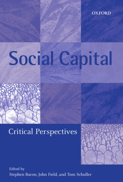Social Capital : Critical Perspectives, PDF eBook