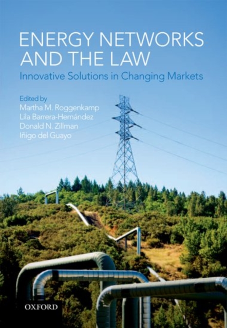 Energy Networks and the Law : Innovative Solutions in Changing Markets, PDF eBook