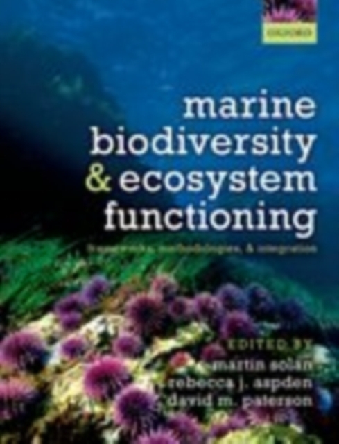 Marine Biodiversity and Ecosystem Functioning : Frameworks, methodologies, and integration, PDF eBook