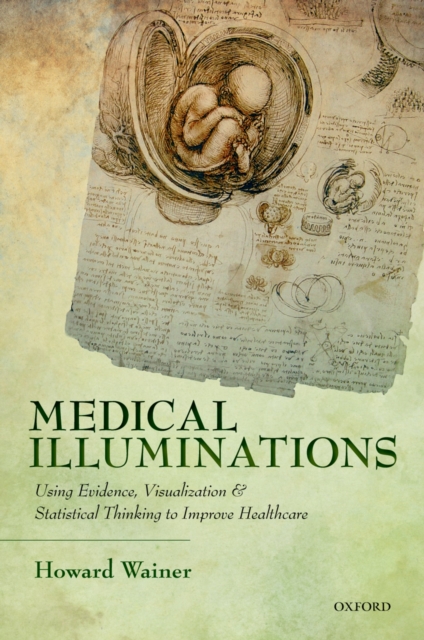 Medical Illuminations : Using Evidence, Visualization and Statistical Thinking to Improve Healthcare, EPUB eBook