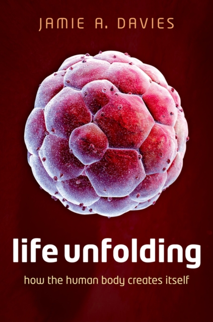 Life Unfolding : How the human body creates itself, PDF eBook