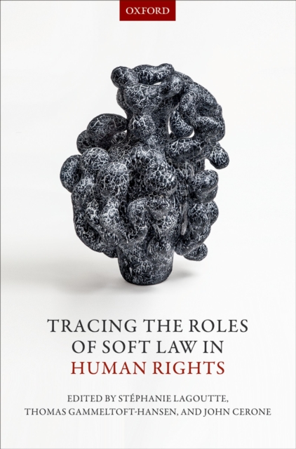 Tracing the Roles of Soft Law in Human Rights, PDF eBook