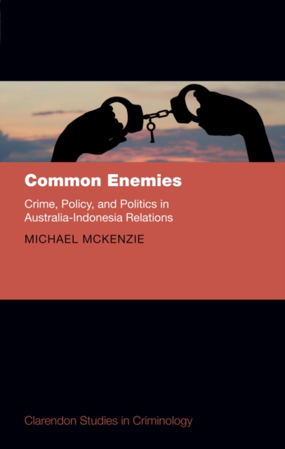 Common Enemies: Crime, Policy, and Politics in Australia-Indonesia Relations, PDF eBook