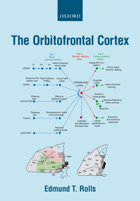 The Orbitofrontal Cortex, PDF eBook