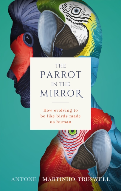 The Parrot in the Mirror : How evolving to be like birds made us human, EPUB eBook