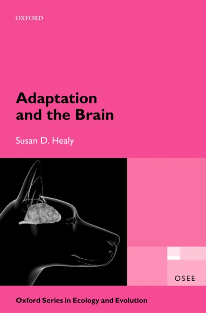 Adaptation and the Brain, PDF eBook