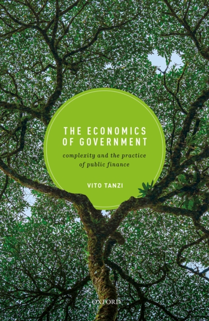 The Economics of Government : Complexity and the Practice of Public Finance, PDF eBook