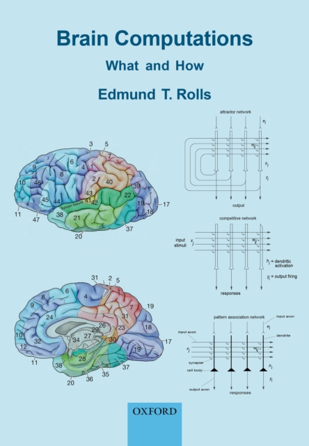 Brain Computations : What and How, EPUB eBook