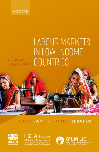Labour Markets in Low-Income Countries : Challenges and Opportunities, PDF eBook